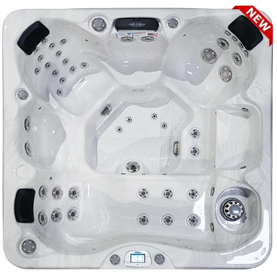 Avalon-X EC-849LX hot tubs for sale in Charlotte